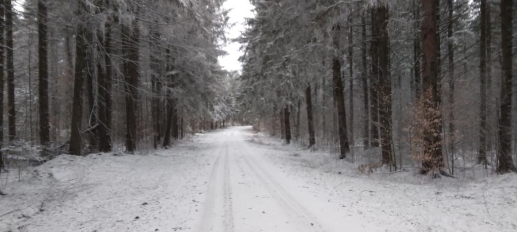 Photo: Truck Trail 3 Photo: Truck Trail 3