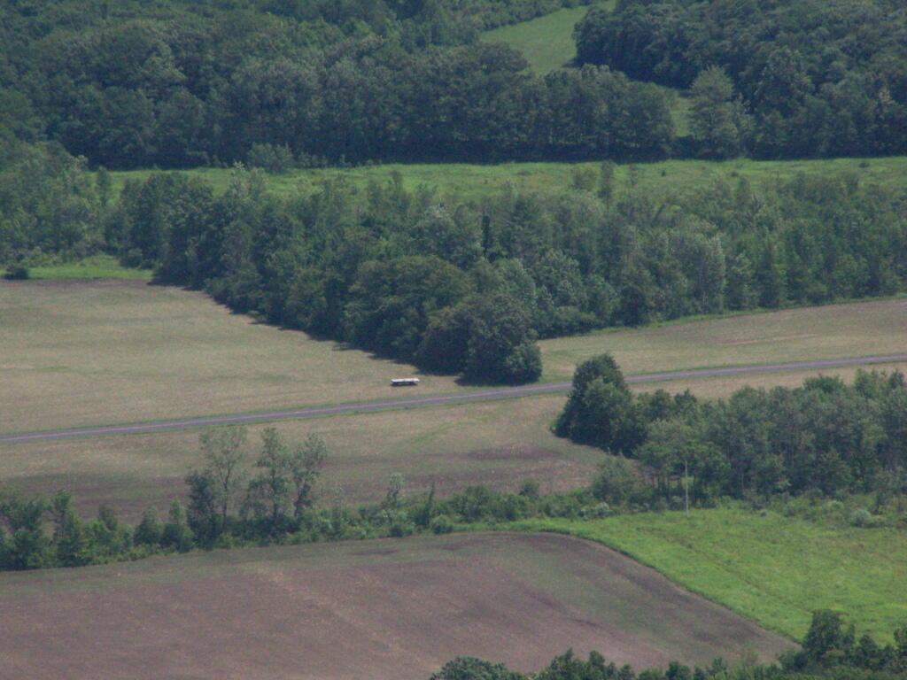 Photo: Freshly Planted Corn