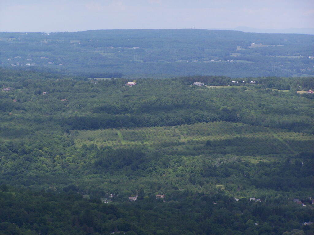 Photo: Settles Hill with Altamont Orchards in Foreground Photo: Settles Hill with Altamont Orchards in Foreground