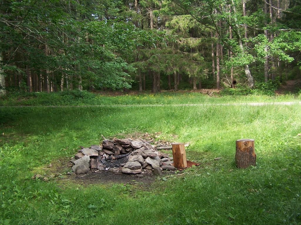 Photo: Campsite at Duck Pond