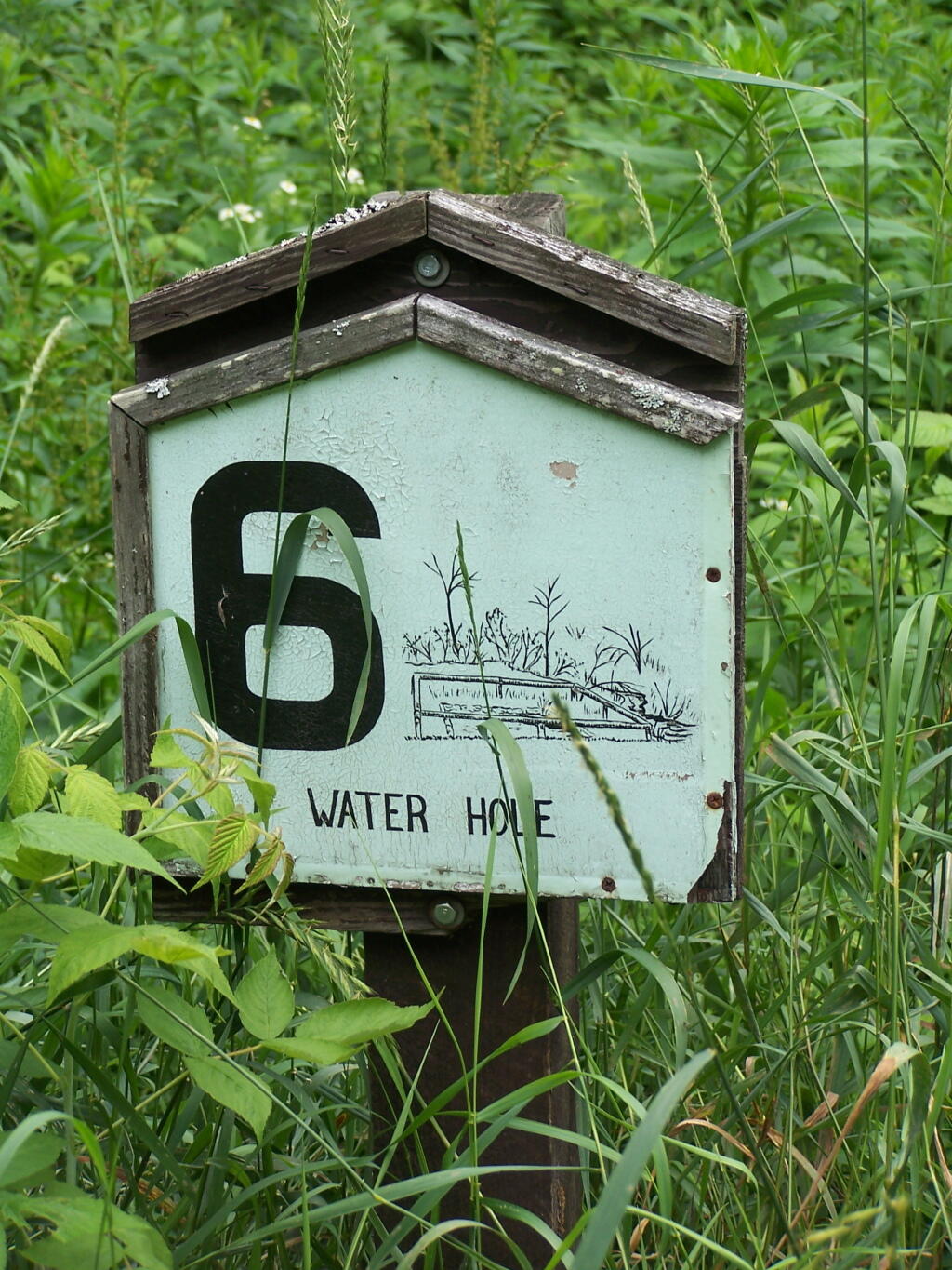 Photo: Stop 6: Waterhole Photo: Stop 6: Waterhole