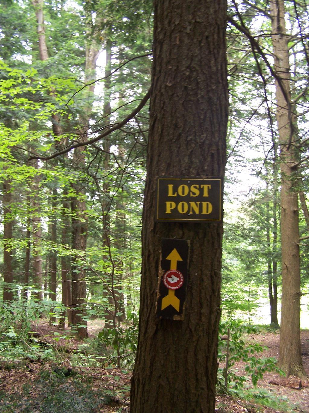 Photo: Lost Pond Sign Photo: Lost Pond Sign
