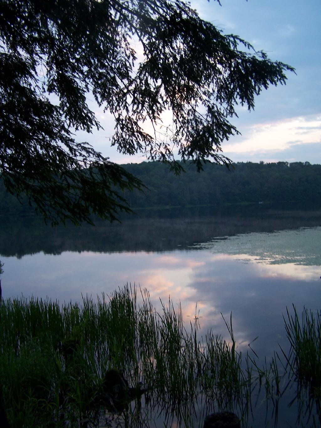 Photo: Balsam on Edge of Pond Photo: Balsam on Edge of Pond
