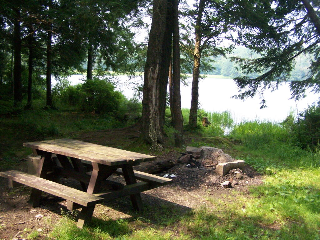 Photo: Day Use Table at Balsam Pond Photo: Day Use Table at Balsam Pond
