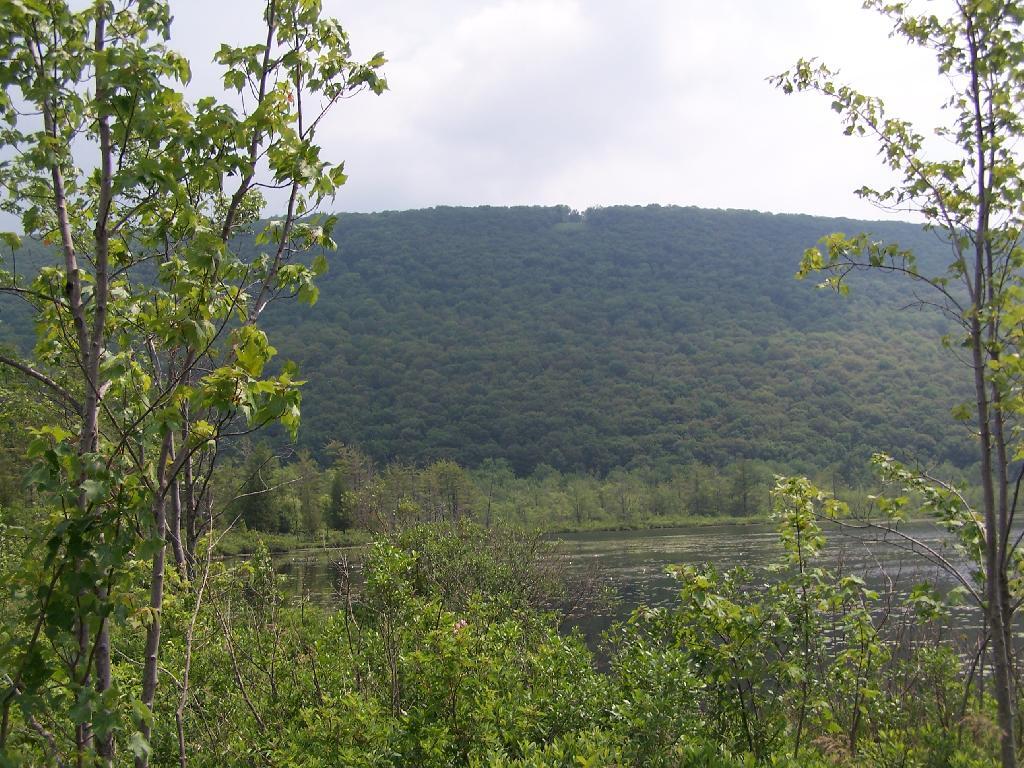 Photo: Jones Hill Photo: Jones Hill