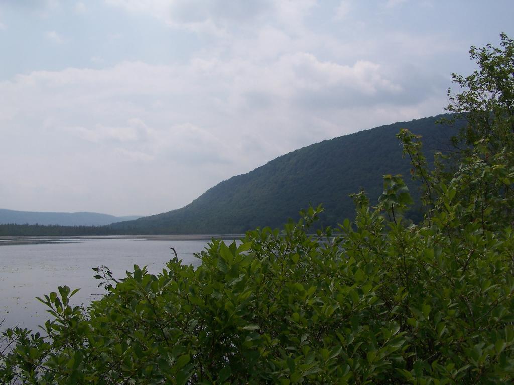 Photo: Pond and Hill Photo: Pond and Hill