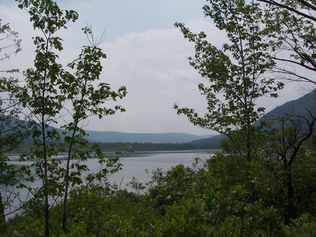 Photo: South Across Lake Photo: South Across Lake