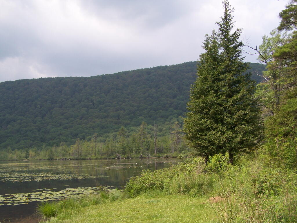 Photo: Along the Lake Photo: Along the Lake
