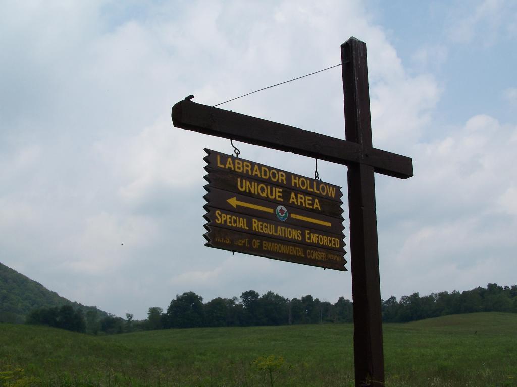 Photo: Labrador Hollow Sign Photo: Labrador Hollow Sign