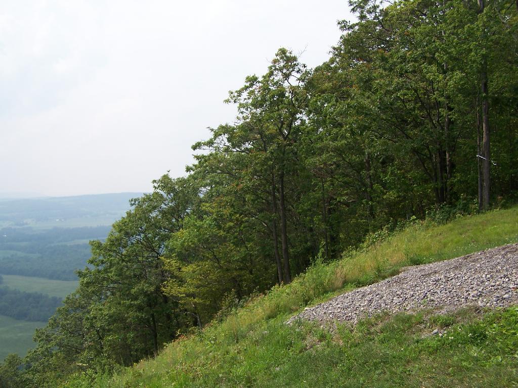Photo: North Photo: North