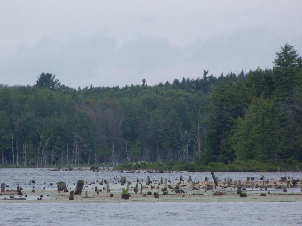 Photo: Marsh Photo: Marsh