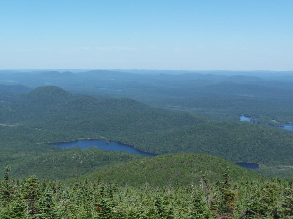 Photo: Cedar River Flow Photo: Cedar River Flow