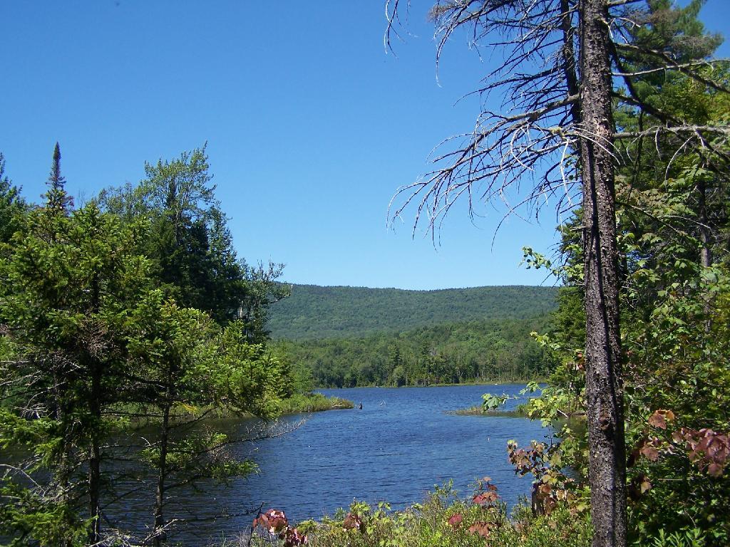 Photo: Wakely Pond Photo: Wakely Pond