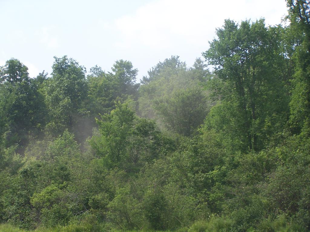 Photo: Pickup Kicks Up Dust on Fawn Lake Road Photo: Pickup Kicks Up Dust on Fawn Lake Road