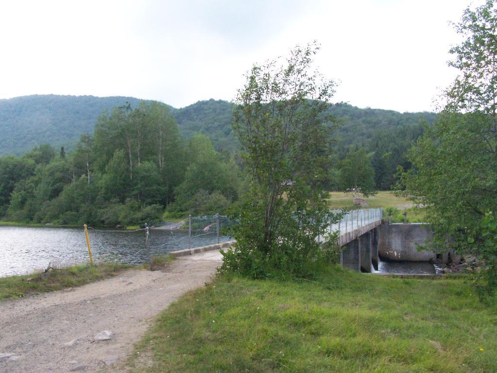 Photo: Bridge Over Cedar River Photo: Bridge Over Cedar River