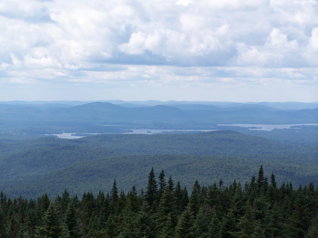 Photo: Fulton Chain of Lakes Photo: Fulton Chain of Lakes