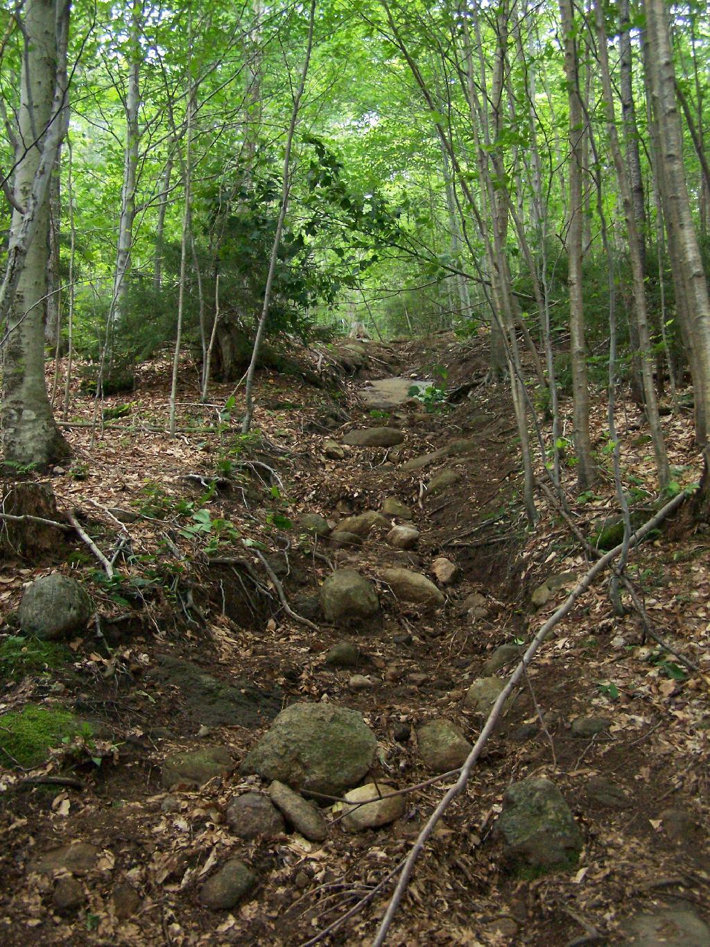 Photo: Badly Eroded Wakley Mountain Trail Photo: Badly Eroded Wakley Mountain Trail