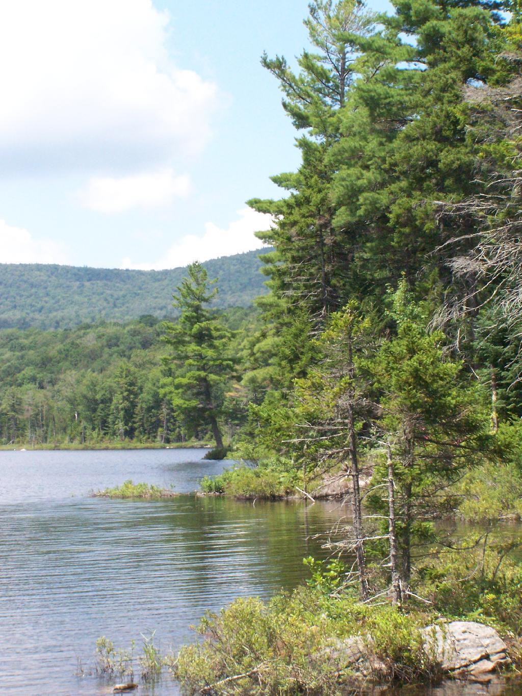 Photo: Wakely Pond Photo: Wakely Pond