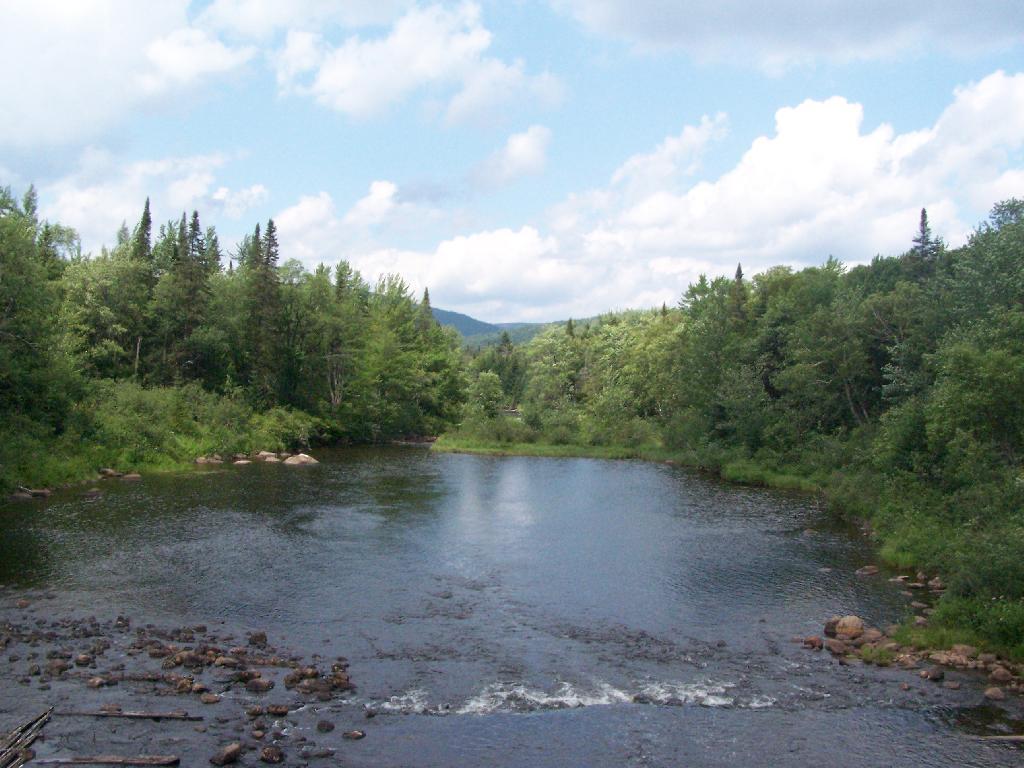 Photo: Cedar River Past Dam Photo: Cedar River Past Dam