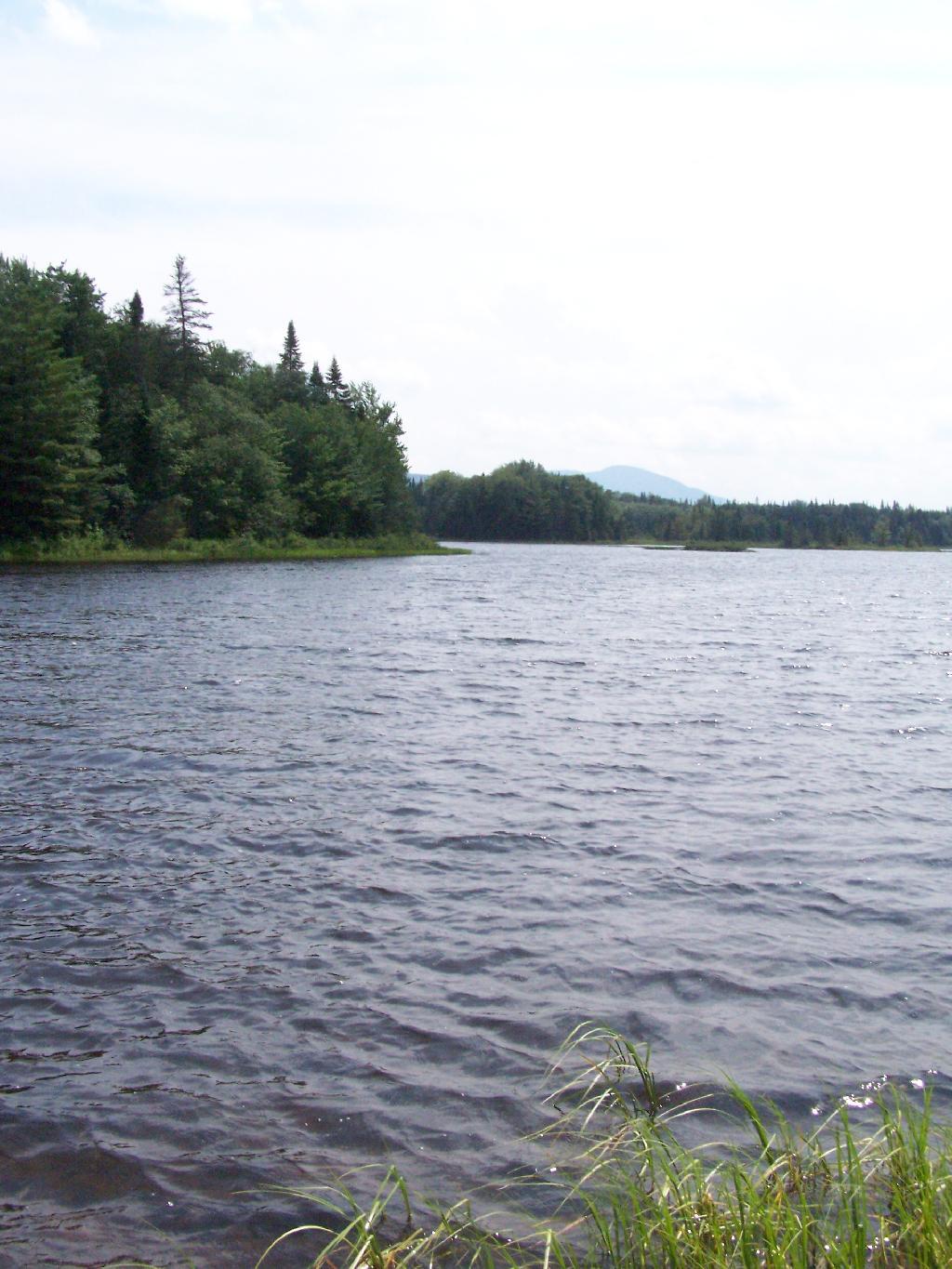 Photo: Across Cedar River Flow Photo: Across Cedar River Flow
