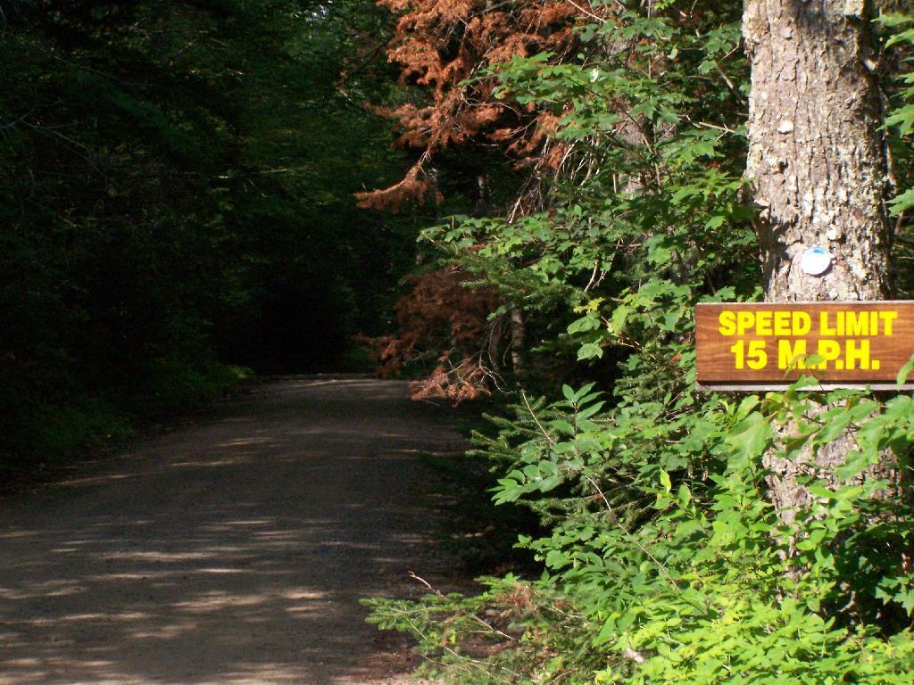 Photo: Speed Limit 15 MPH Photo: Speed Limit 15 MPH