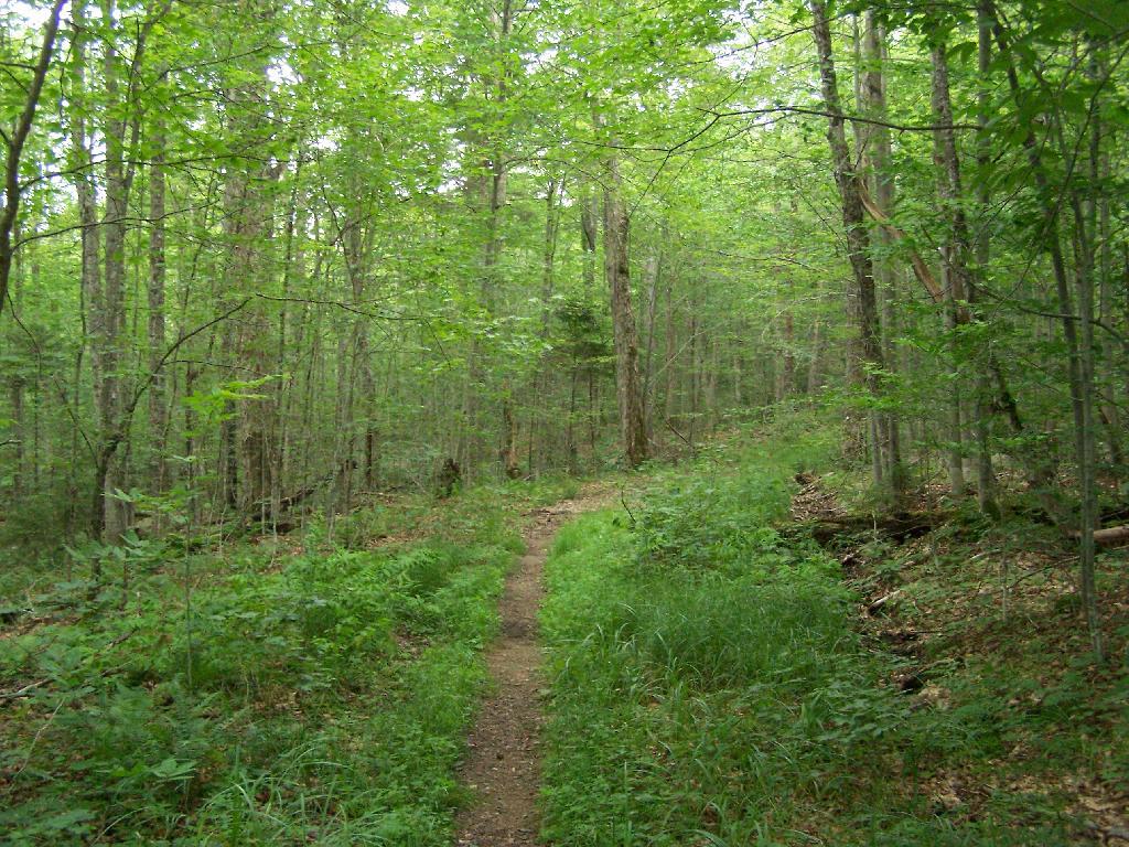 Photo: Along the NTP Photo: Along the NTP