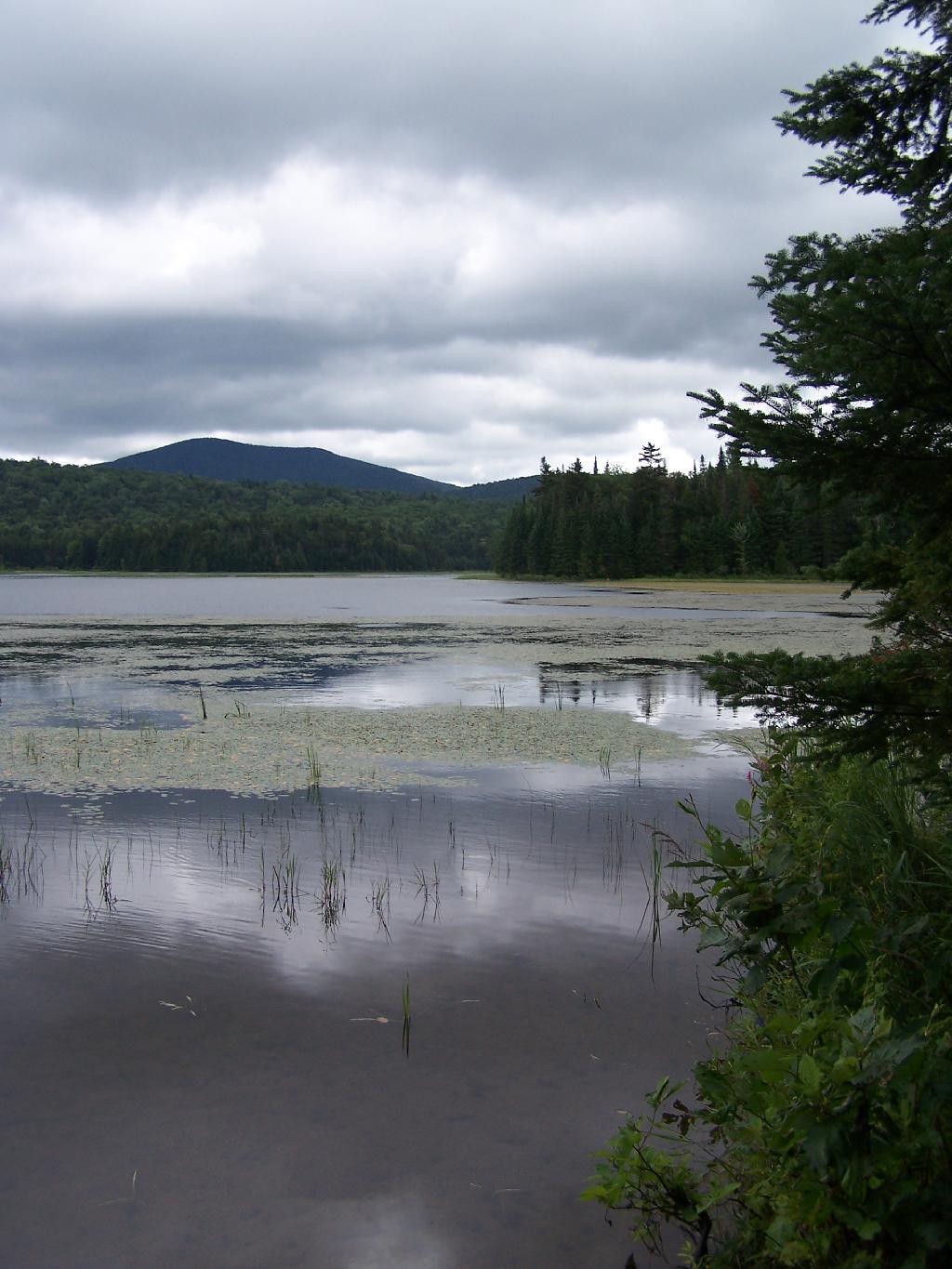 Photo: Edge of Cedar River Flow Photo: Edge of Cedar River Flow