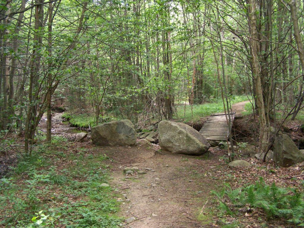 Photo: The End of Wakely Road Photo: The End of Wakely Road