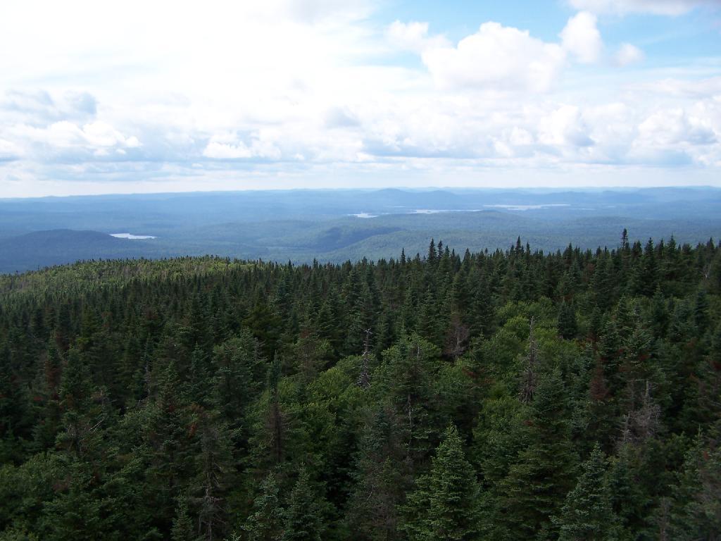 Photo: Blue Ridge Wilderness Photo: Blue Ridge Wilderness