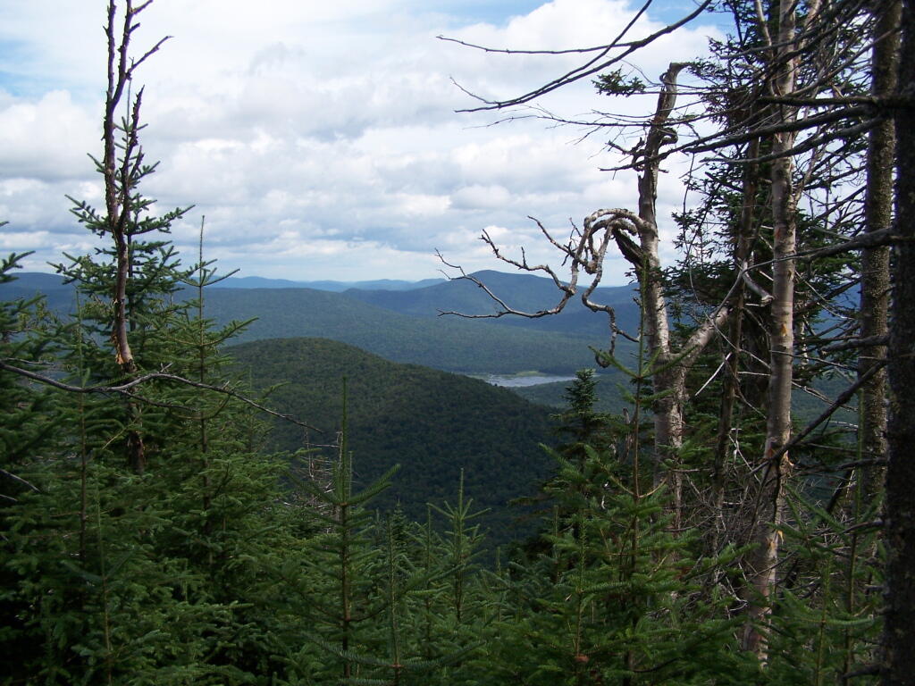 Photo: Payne Thru Trees Photo: Payne Thru Trees