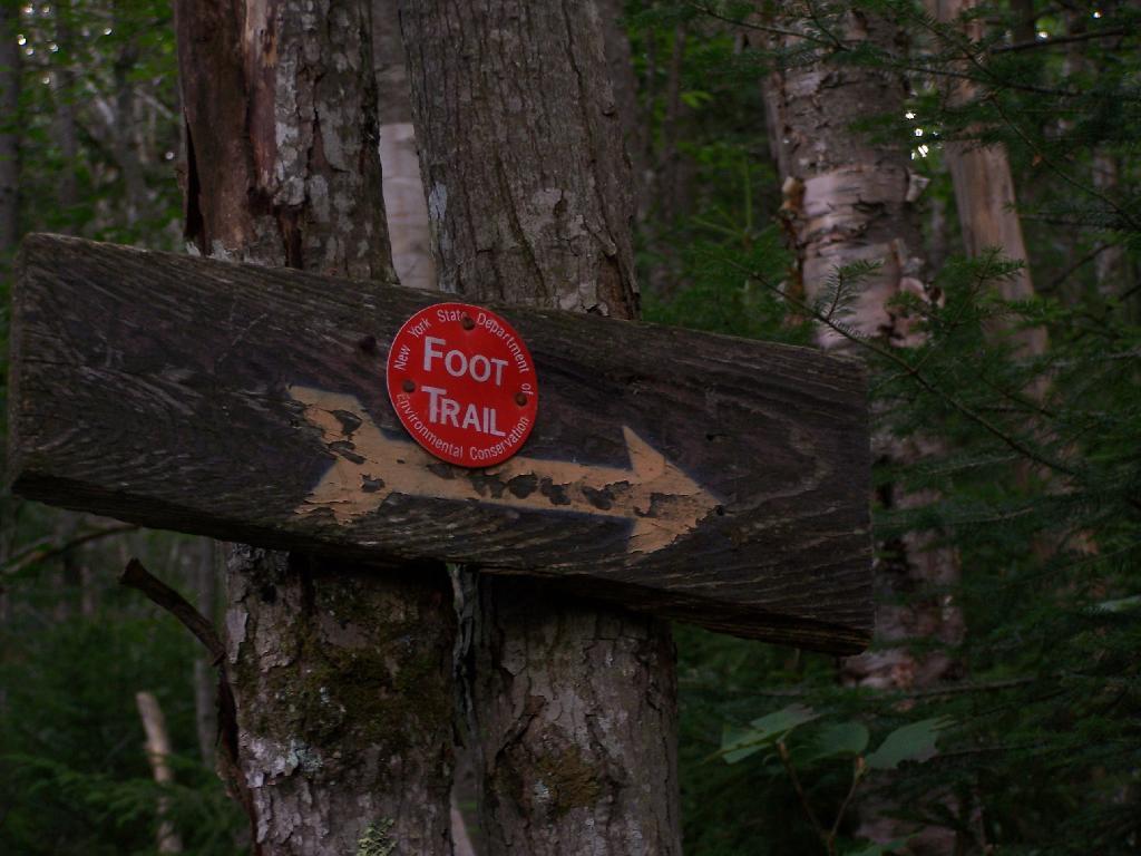 Photo: Trail Turns Photo: Trail Turns