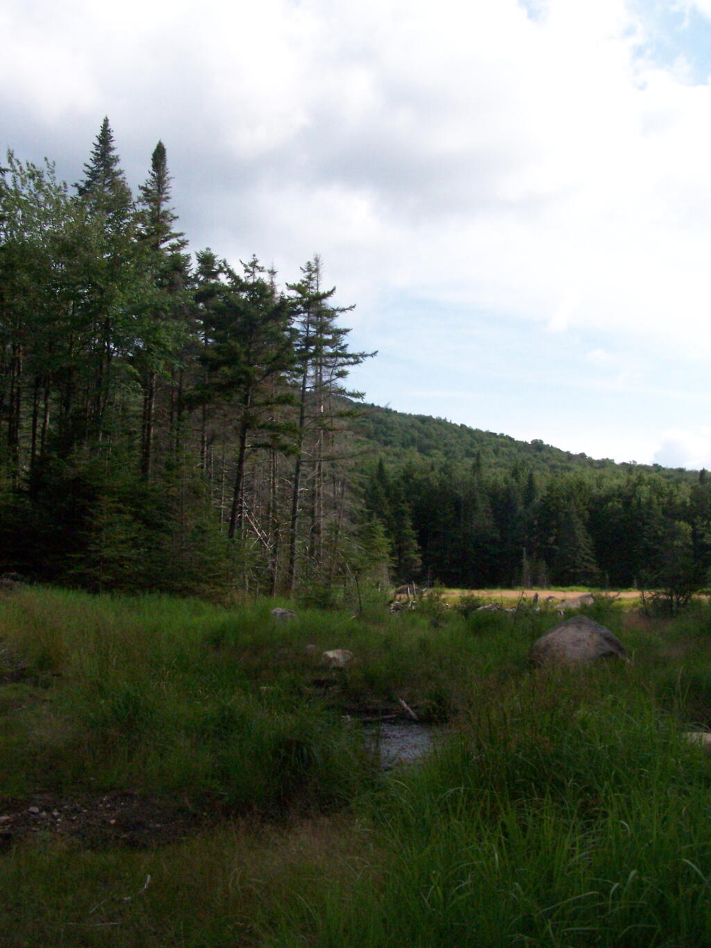 Photo: Swamp At Bottom of Wakely Photo: Swamp At Bottom of Wakely