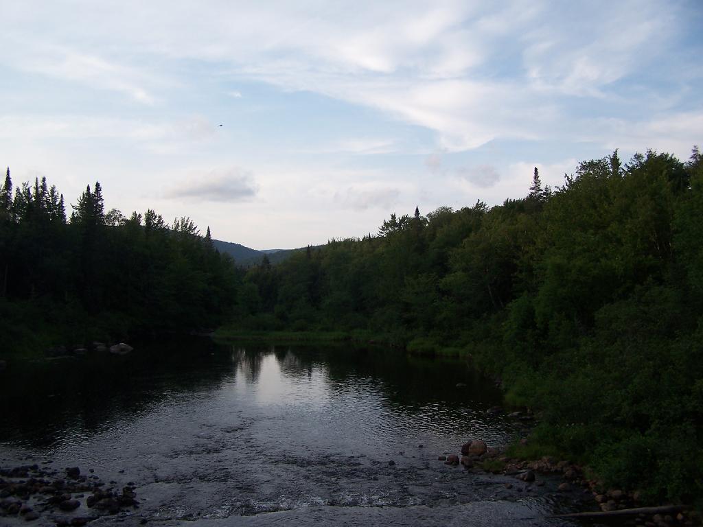 Photo: Cedar River Below Dam Photo: Cedar River Below Dam