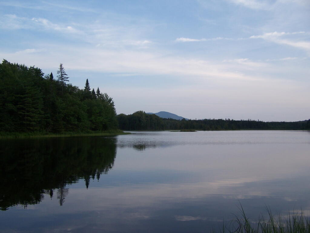 Photo: Cedar River Flow in Evening Photo: Cedar River Flow in Evening
