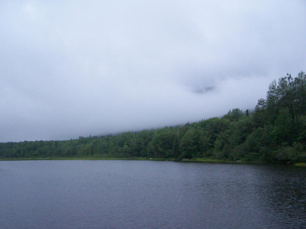 Photo: Cedar River Flow Clearing Photo: Cedar River Flow Clearing