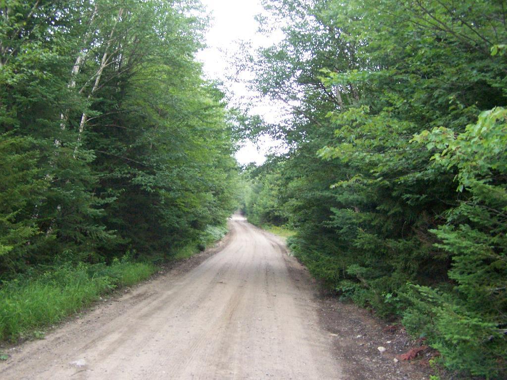 Photo: Plains Road Photo: Plains Road