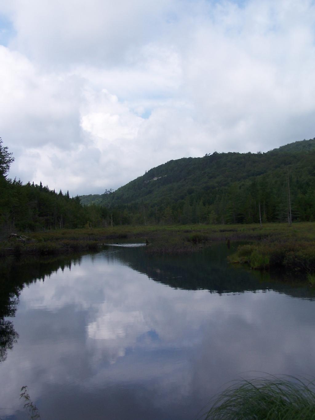 Photo: Swamp That Feeds Into Silver Run Photo: Swamp That Feeds Into Silver Run