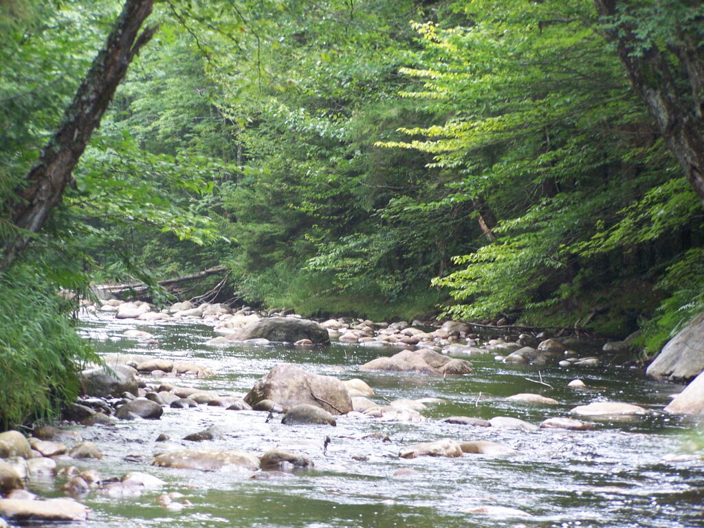 Photo: Silver Run Photo: Silver Run