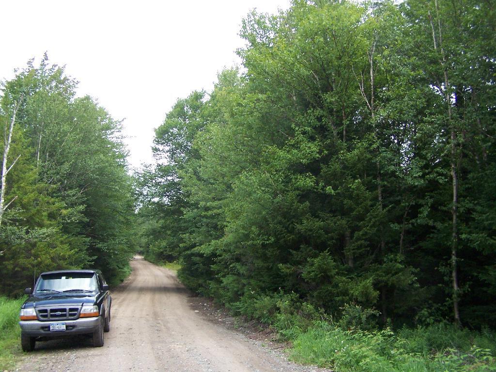 Photo: Parked Along Plains Road Photo: Parked Along Plains Road