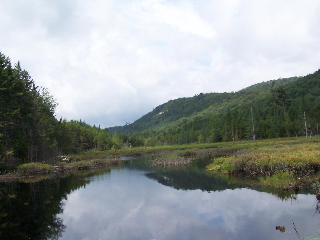 Photo: Towards Cellar Mountain Photo: Towards Cellar Mountain