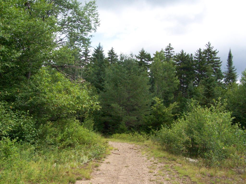 Photo: Road Off to Campsite Photo: Road Off to Campsite