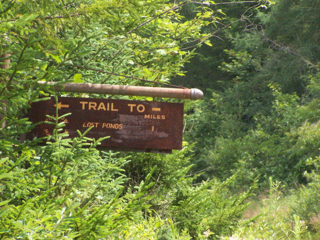 Photo: Trail to Lost Ponds Photo: Trail to Lost Ponds