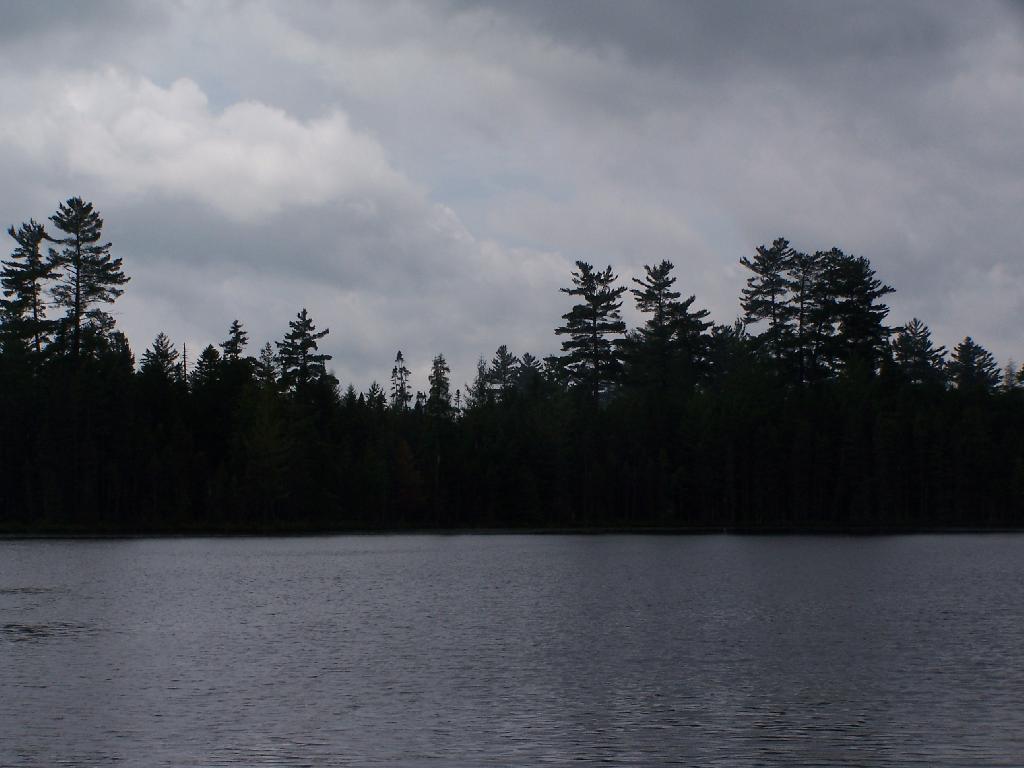 Photo: Trees at Helldiver Pond Photo: Trees at Helldiver Pond
