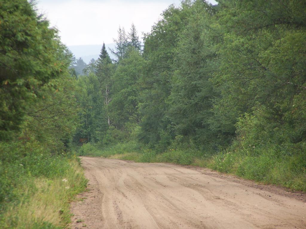 Photo: Sandy Plains Photo: Sandy Plains