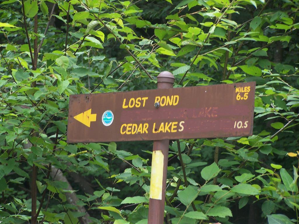 Photo: 6.5 Miles to Lost Pond Photo: 6.5 Miles to Lost Pond