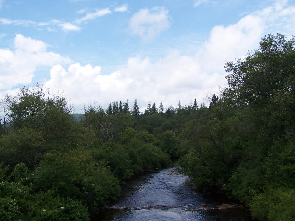Photo: Otter Brook Swamp Photo: Otter Brook Swamp