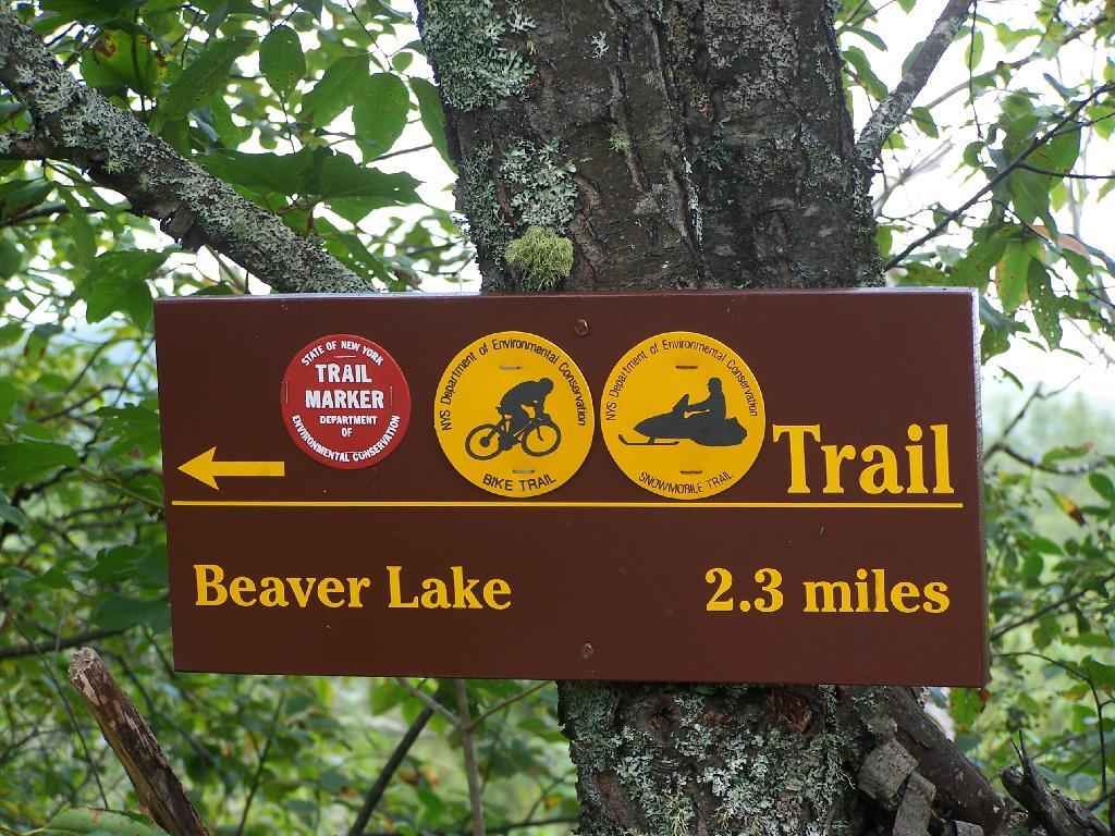 Photo: Beaver Lake Trail Photo: Beaver Lake Trail