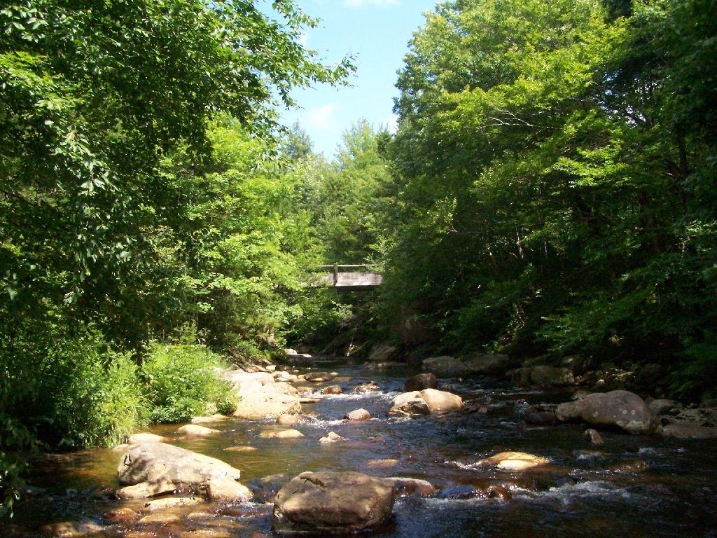 Photo: Otter Brook Bridge Photo: Otter Brook Bridge