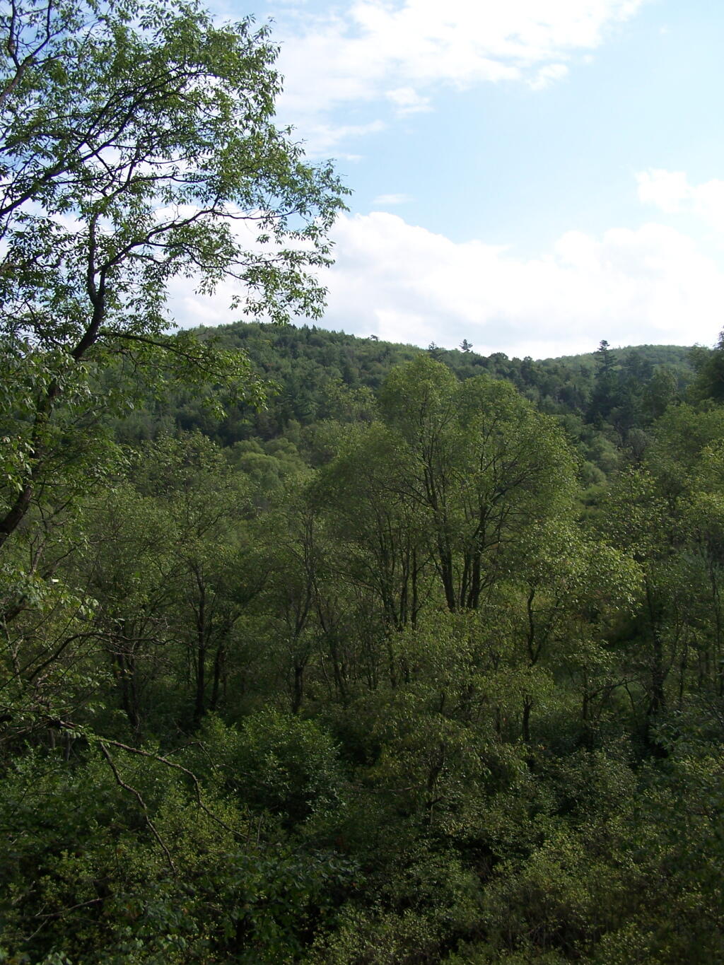 Photo: Valley Along Otter Brook Photo: Valley Along Otter Brook