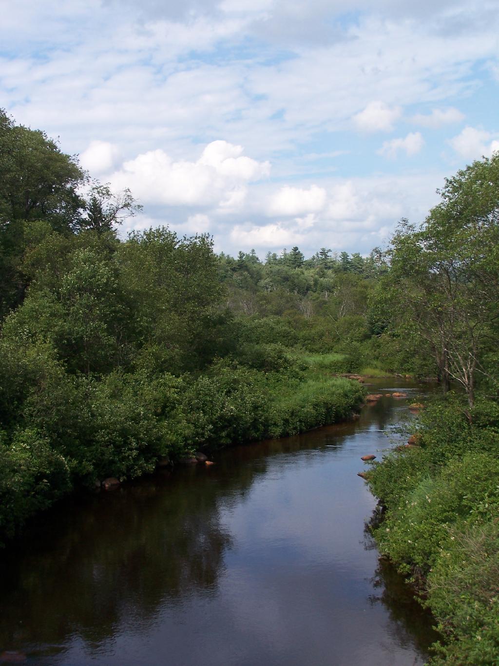 Photo: South Branch of the Moose River Photo: South Branch of the Moose River